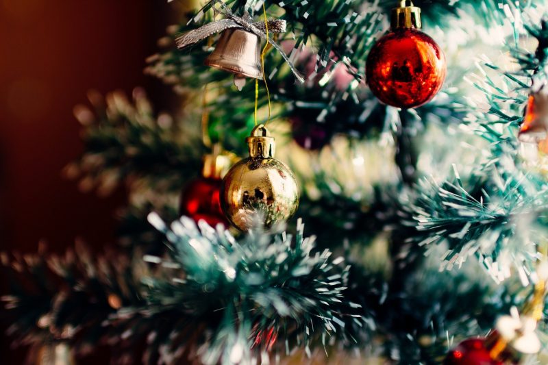 A holiday tree is a festive way to celebrate but they can be dangerous for your dogs and cats.