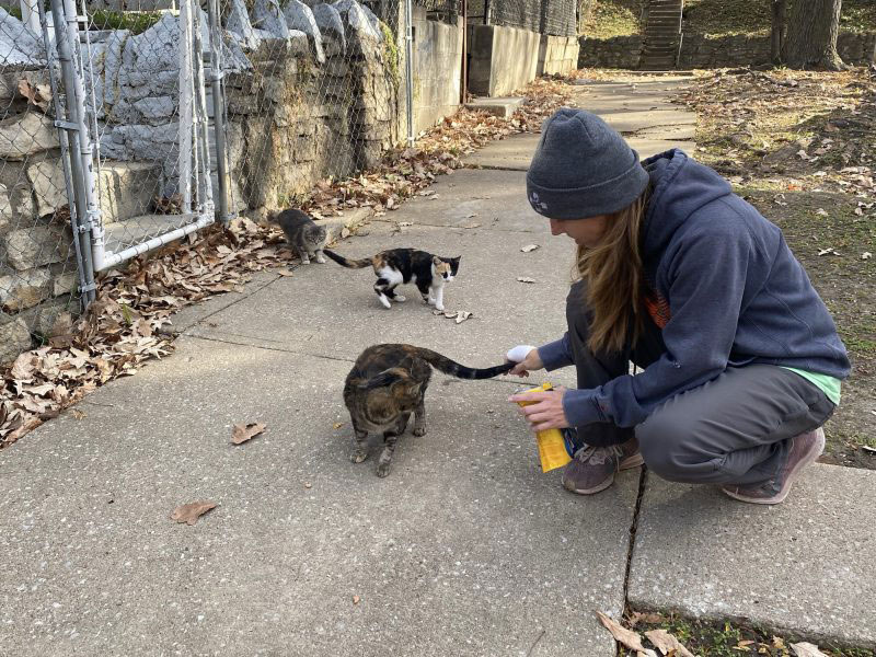 A woman crouches down on a sidewalk to pet a cat