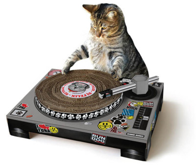 cat turntable