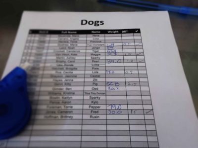 A piece of paper listing the dogs in for surgery that day.