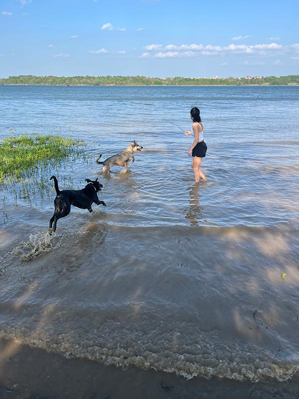 Dogs playing at the lake