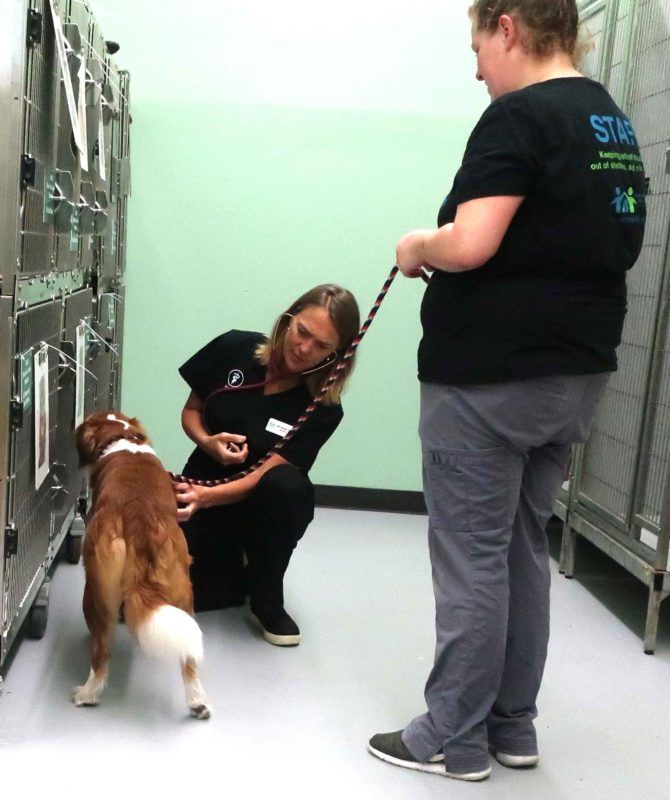 Dr. Reinhardt examines a dog while Lacey holds the dog's lead.