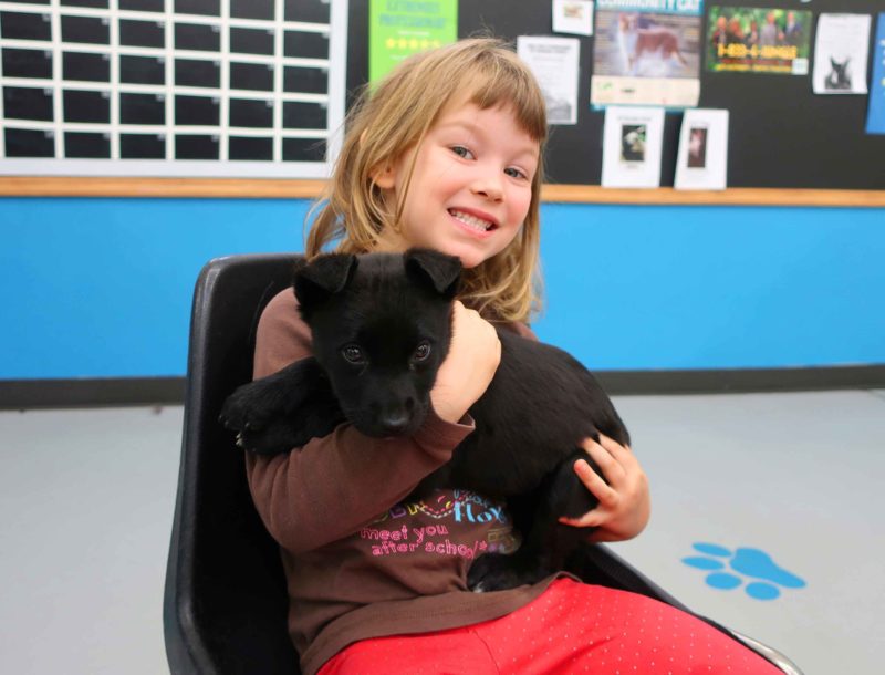 A girl holds a black puppy in her arms and smiles for the camera.