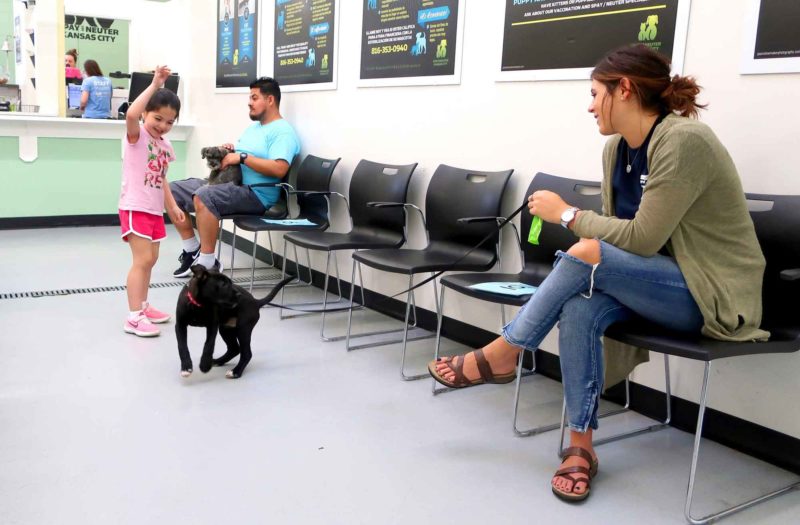 A girl holds her hand in the air, trying to get a dog to look. A woman sits in a chair nearby, holding the leash.