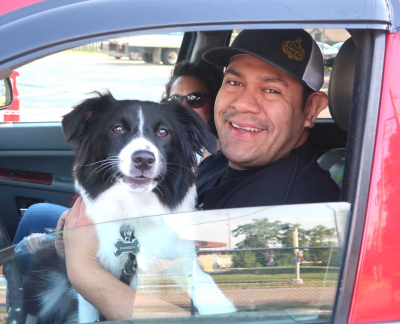 A man and a dog look out the window of a car