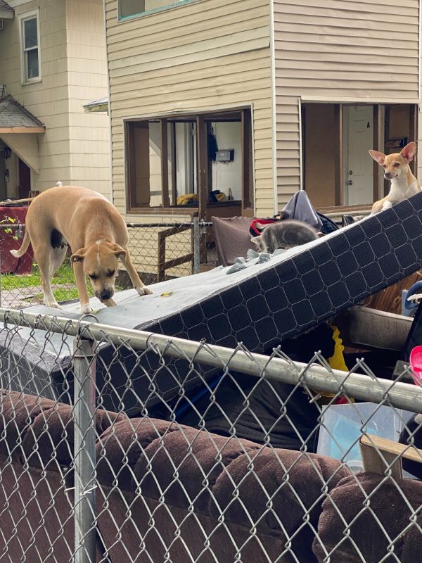 Belongings and trash seem to be everywhere. 