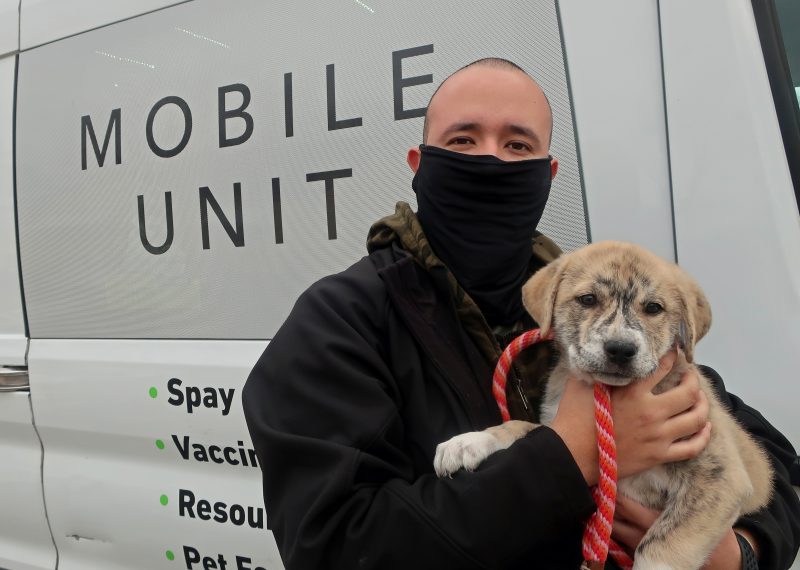 vaccinating mixed breed puppy on mobile unit