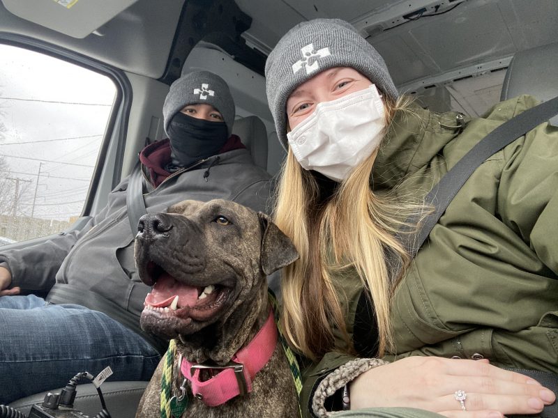 PRCKC staff transporting pit bull for surgery