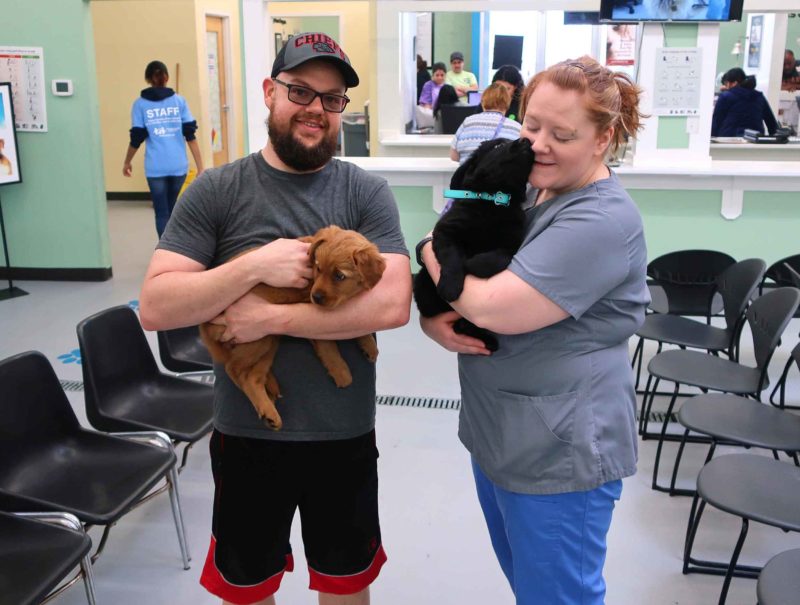 A man and woman hold two puppies