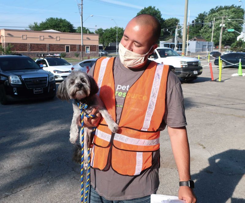 A man in a safety vest holds a dog