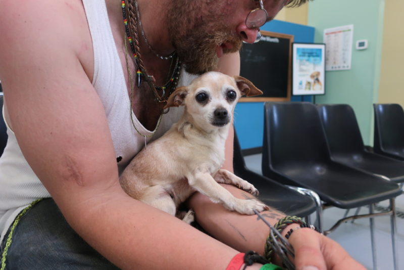 Leroy the Chihuahua can be credited with saving John's life. 