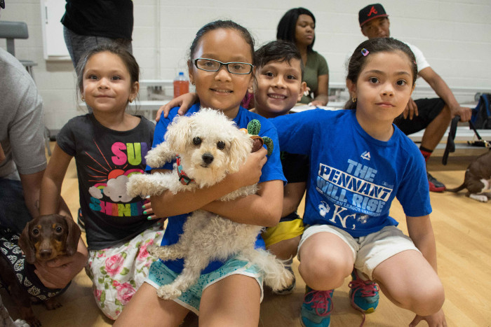 Pets and people together is how it's supposed to be. 