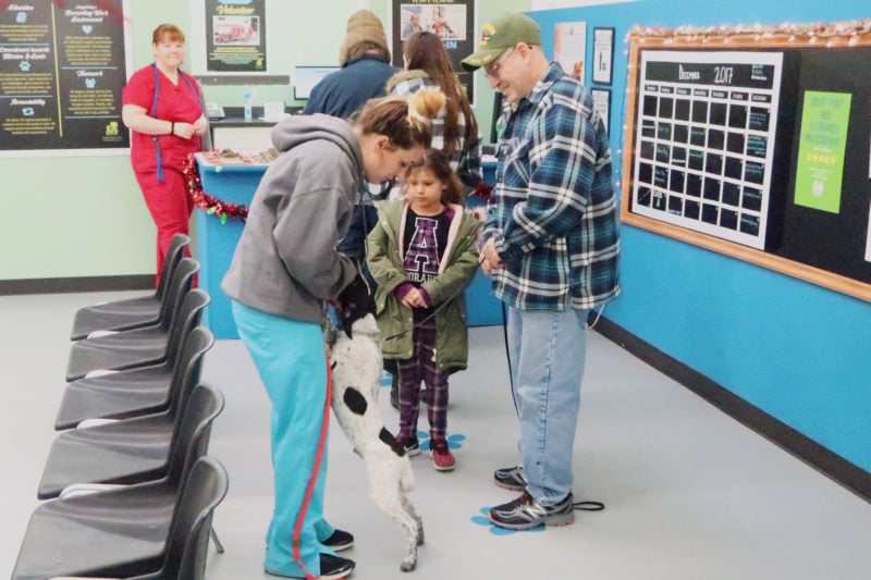 Liz meets a black and white dog named Bubba while his family looks on.