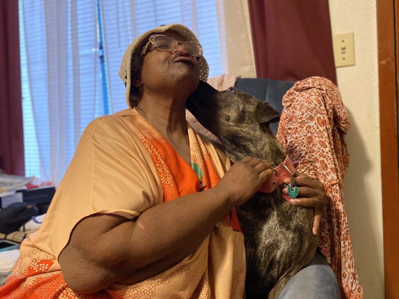 pit bull mix giving her mom a big kiss