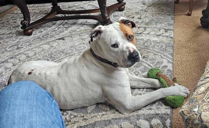 Max with Toy