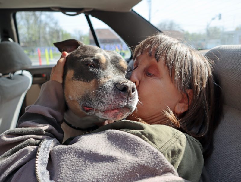 woman giving pit bull a kiss