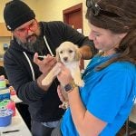 puppy vaccinations