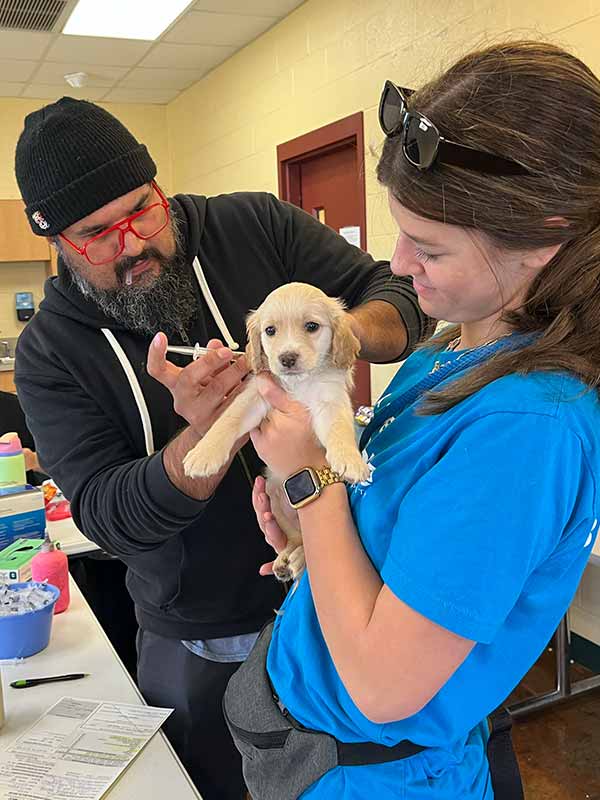 puppy vaccinations