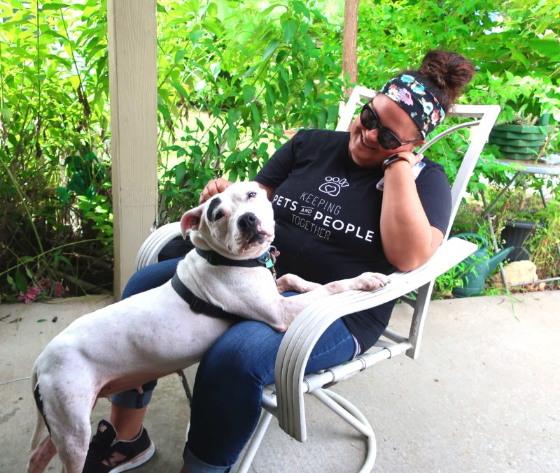 A dog rests the front half of her body on the lap of a woman.