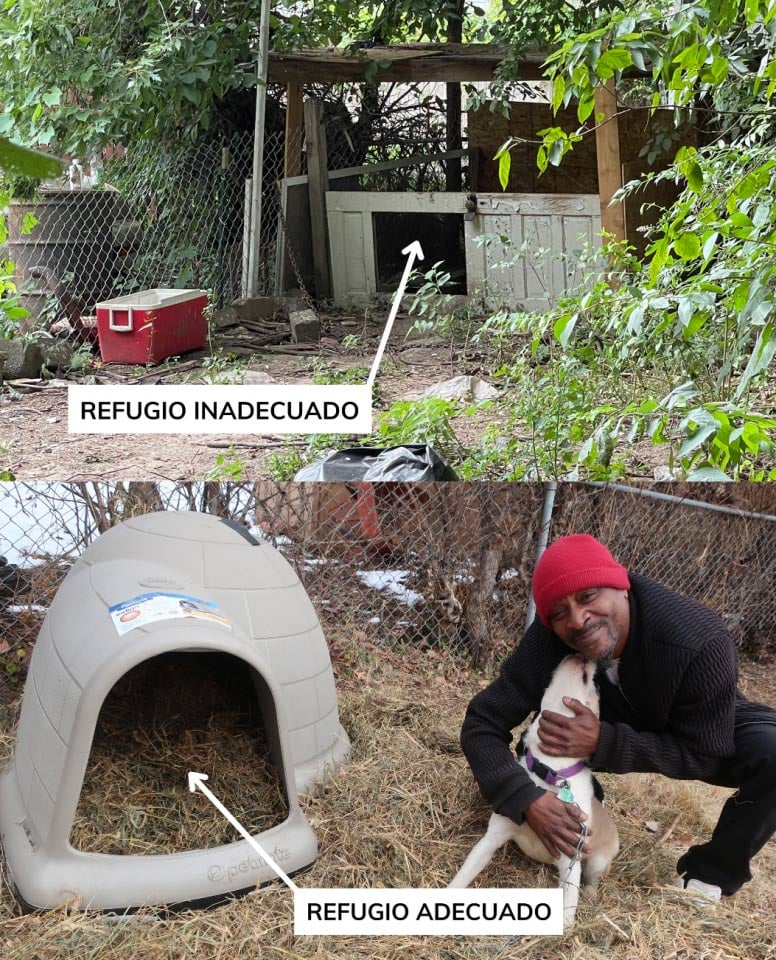 adequate vs inadequate shelter for pets
