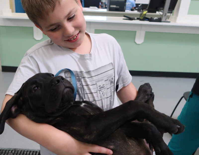 Want to see the human animal bond, look no further than a boy and his dog. 