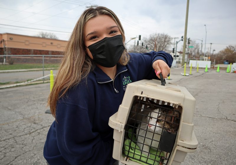 high school intern carrying cat inside for surgery