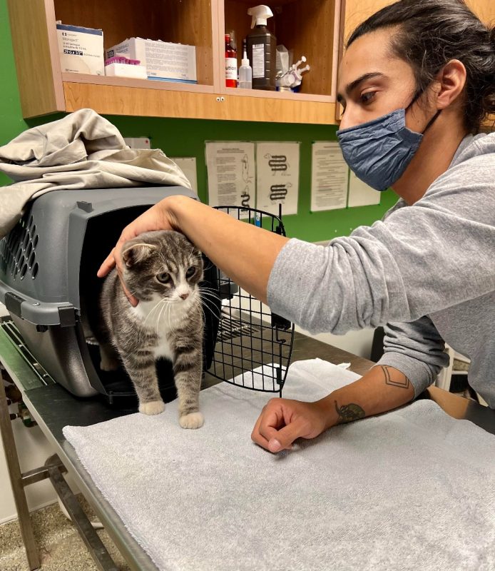 Chris works in admissions at Wayside Waifs and helped us get Hani's cat, Layla, into the shelter.